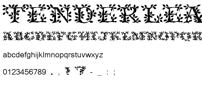 Tenderleaf Regular font